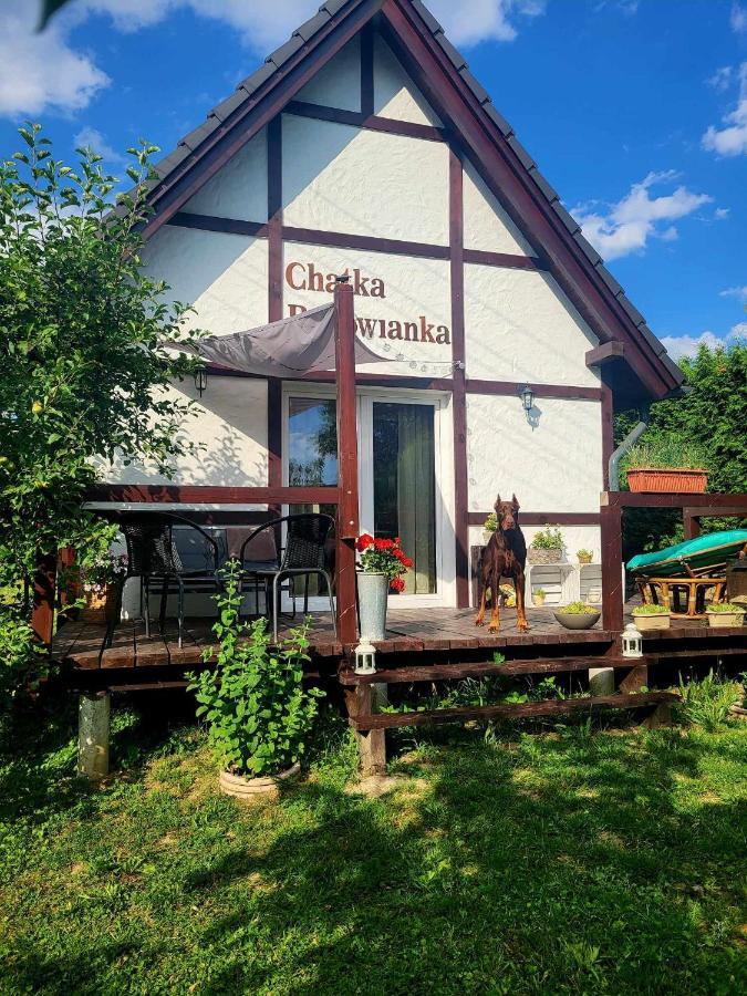 Chatka Bukowianka W Bukowcu Kolo Karpacza Bukowiec  Eksteriør bilde